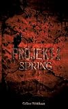 Spring - Projekt I