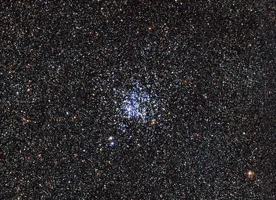 Der dichte offene Sternhaufen Messier 11, der Wildentenhaufen, mit Tausenden Sternen