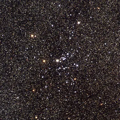 Der offene Sternhaufen Messier 25 (IC 4725) im Sternbild Schütze, eine locker verstreute Ansammlung heller Sterne.