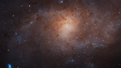 Großes Hubble-Mosaik der Dreiecksgalaxie mit Spiralarmen, Millionen Sternen, Sternhaufen und blauen Sternentstehungsregionen