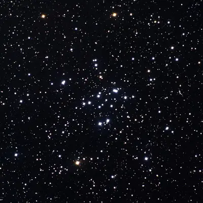 Der offene Sternhaufen Messier 34 (NGC 1039) im Sternbild Perseus, eine helle, weit verteilte Gruppe von Sternen.