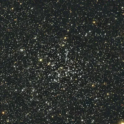 Der offene Sternhaufen Messier 38 (NGC 1912) im Sternbild Fuhrmann, dessen Sterne an eine Seestern-Form erinnern.