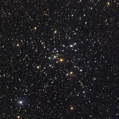 Der offene Sternhaufen Messier 41 (NGC 2287) im Sternbild Großer Hund, eine helle Gruppe von Sternen mit einigen rötlichen Riesensternen.