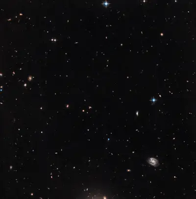 Hubble-Ausschnitt am Rand des Bienenkorbhaufens Messier 44 mit Sternen und Hintergrundgalaxien