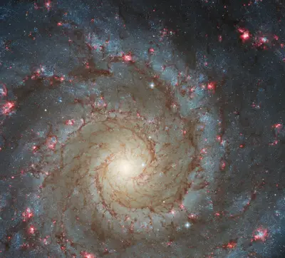 Hubble-Aufnahme der frontal sichtbaren Spiralgalaxie M74 mit symmetrischen Spiralarmen und rosa Sternentstehungsgebieten