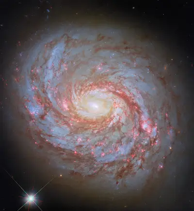 Hubble-Aufnahme der Balkenspiralgalaxie M77 mit hell leuchtendem Kern und rosafarbenen Sternentstehungsgebieten in den Spiralarmen